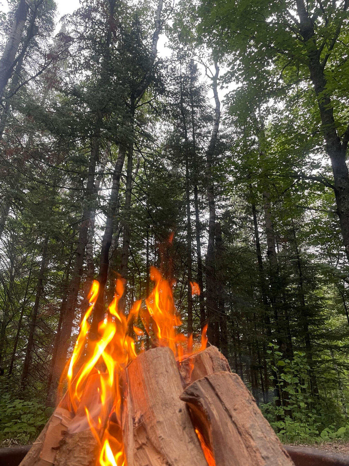 Camp fire Camp fire